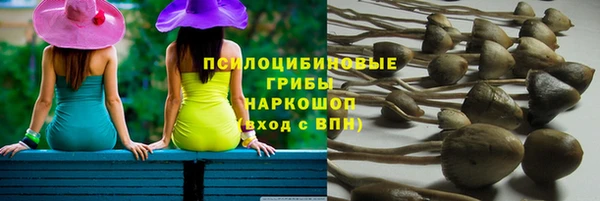 первитин Горняк