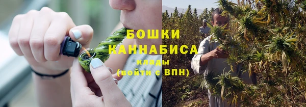 первитин Горняк