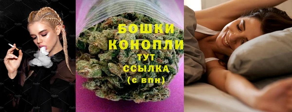 не бодяженный Горно-Алтайск